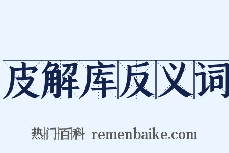 皮解库反义词是什么意思的图片